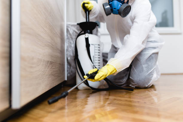 Best Best Pest Control Companies  in Mesita, NM