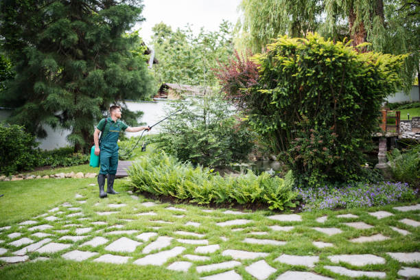 Best Affordable Pest Control Services  in Mesita, NM