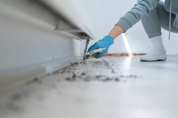 Best Bed Bug Extermination  in Mesita, NM