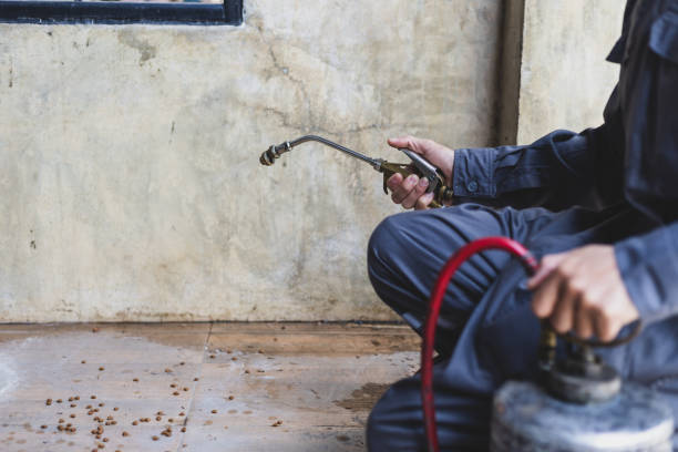 Best Mosquito Control Services  in Mesita, NM