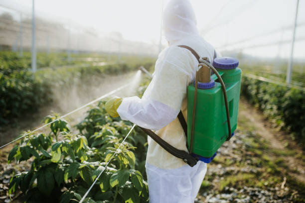  Mesita, NM Pest Control Pros